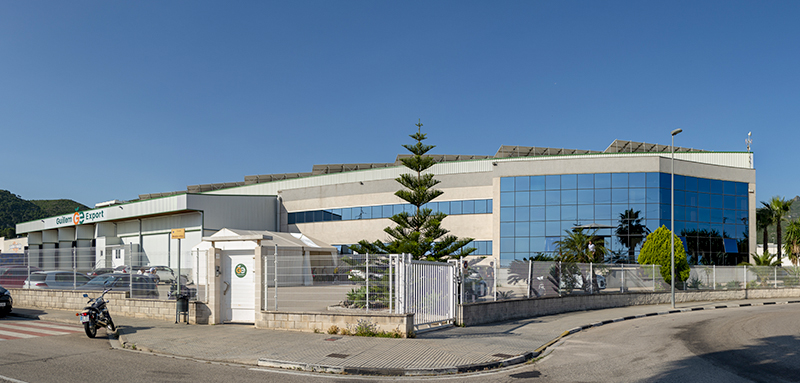 Construction of the current warehouse in Xeresa